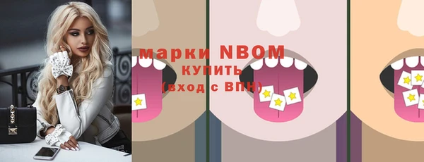 стаф Кулебаки